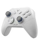 Геймпад FLYDIGI Direwolf 3 White - изображение 1
