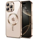 Чохол Fiji Chrome для Apple iPhone 16 Pro з MagSafe та захистом камер Brown - зображення 1
