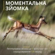 Фотоловушка с датчиком движения и ночным видением / Охотничья камера / Камера наблюдения - изображение 9