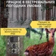 Фотоловушка с датчиком движения и ночным видением / Охотничья камера / Камера наблюдения - изображение 11