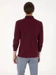 Поло довге чоловіче Pierre Cardin G021SZ082-000-2314481 (bordo) 2XL Бордове (8683859229604) - зображення 2
