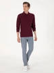 Поло довге чоловіче Pierre Cardin G021SZ082-000-2314481 (bordo) 2XL Бордове (8683859229604) - зображення 3
