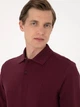 Поло довге чоловіче Pierre Cardin G021SZ082-000-2314481 (bordo) 2XL Бордове (8683859229604) - зображення 5