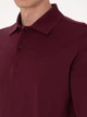 Поло довге чоловіче Pierre Cardin G021SZ082-000-2314481 (bordo) 2XL Бордове (8683859229604) - зображення 6