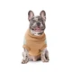 Светр для тварин Pet Fashion Rich L (корги) (4823082438754) - зображення 3