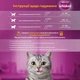 Вологий корм для кішок Whiskas курка, індичка в желе 4х85 г (4770608263676) - зображення 5