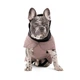 Попона для животных Pet Fashion Max ХS (такса) (4823082439560) - изображение 3