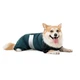 Комбинезон для животных Pet Fashion Den XL (корги) (4823082439577) - изображение 2