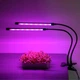 Фітолампа LED Grow Light USB на 2 лампи для рослин і розсади, світлодіодна лампа для росту та цвітіння - зображення 7