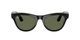 Смарт-очки Ray-Ban Meta Skyler Standard Shiny Black Frame / G15 Green Polarized Lenses (RW4010 601/9A 52-20) - изображение 1