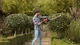 Кущоріз електричний BLACK+DECKER, 0.5 кВт, довжина ножа 50 см, діаметр гілок 22 мм, з допоміжним ножем, вага 2.47 кг (BEHTS301) - изображение 6