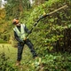 Кущоріз акумуляторний безщітковий з розбірною штангою DeWALT, 18 В, длина ножа 55 см, діаметр гілок 19 мм, без акумулятора - зображення 6