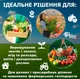 Садовая теплица-парник 6 м² (2×3 м), с окнами, зеленая - изображение 7