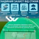 Садовая теплица 10 м² (2,5×4 м), с армированной пленкой и вентиляционными окнами, зеленая - изображение 3