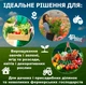 Садовая теплица 10 м² (2,5×4 м), с армированной пленкой и вентиляционными окнами, зеленая - изображение 6