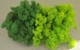 Стабилизированный мох ягель для декора MIX grass green light №79 (50г) + grass green dark №78 (50г) - изображение 1