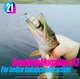 Воблер BearKing Magallon 113F 13.7 грамм 113 мм B - изображение 3