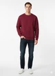 Свитшот на флисе H&M M Бордовый 0970818_борд - изображение 1