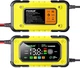 Зарядное устройство для аккумуляторов Foxsur FBC1207E (12V 7A, 4-120Ah), импульсное, автоматическое - изображение 2