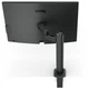 TFT 31.5" BenQ PD3205UA, IPS, 4K UHD, 99% sRGB, HDMI, DP, USB-С, USB-hub, HAS, колонки, темно- серый - изображение 2