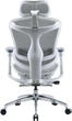 Офісне крісло Sihoo DORO C300L Mesh White with footrest (DORO-C300L-A3-102-JT) - зображення 2