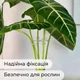 Фиксаторы 4 шт для растений, опоры для комнатных и садовых цветов разного диаметра - изображение 4