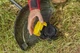 Триммер аккумуляторный бесщеточный STANLEY FATMAX SFMCSTB933M - изображение 6