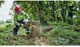 Пилка ланцюгова акумуляторна безщіткова DeWALT, 54 В XR FLEXVOLT, шина 45 см, ланцюг OREGON 3/8, 1.3 мм, автоматична подача - изображение 6
