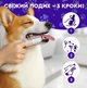 Спрей для догляду за зубами та яснами собак, котів з пробіотиками DentaBona від Probioday, 100 мл - зображення 4