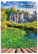 Книга канц. тв.пал. А4 96арк # газ. BUROMAX 2430 (8) /BM.2430/ - изображение 5