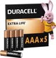 Щелочные батарейки Duracell Basic AAA 5&nbsp;шт. в упаковке (5000394052444) - изображение 1