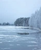 Концентрований спрей для дому Bath&Body Works - Frozen Lake (28023869) - зображення 2