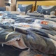 Постільна білизна KoTetextile плюшева велюрова сімейний 150-215 см (2шт) 70-70 2шт з резинкою кульбабки бірюзовий - зображення 4