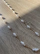 Класичний тримач для окулярів у ретро-стилі Honey Fashion Accessories золотистий (12-39) - зображення 3