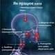 Набор Боксерская капа и магнит для бокса ММА боксеров спортивная защитная для зубов кикбоксинга тхэквондо единоборств тайского бокса рукопашного боя взрослая профессиональная трехслойная из термопластика Фиолетовая 1_1_L_4C - изображение 2