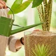 Добриво для рослин COMPO BIO GRANUPLANT 500 мл 3777 - изображение 3