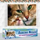 Алмазная мозаика Кошта с котенком DM-247 40х25см Полная зашивка. Набор алмазной вышивки - изображение 2