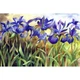 Алмазная вышивка Ирисы DM-029 Алмазная мозаика 40x30 полная зашивка, квадратные стразы, 30цветов - изображение 1