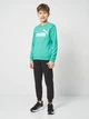 Детский спортивный костюм (свитшот + штаны) для мальчика Puma Essentials No.1 Logo 68629640 134-140 см Vibrant Green (4069161971587) - изображение 1