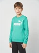 Подротсковый спортивный костюм (свитшот + штаны) для мальчика Puma Essentials No.1 Logo 68629640 170-176 см Vibrant Green (4069161971563) - изображение 3
