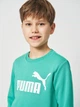 Подротсковый спортивный костюм (свитшот + штаны) для мальчика Puma Essentials No.1 Logo 68629640 170-176 см Vibrant Green (4069161971563) - изображение 5