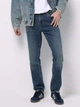 Джинсы Regular Fit мужские Colin's CL1077382DN44664 33-34 Pineta Wash (8684890013498) - изображение 1