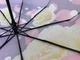 Зонт женский автомат Rain Flowers c цветочным принтом 9 спиц анти-ветер (1080) - изображение 7