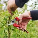 Садовый секатор FELCO 171М обводной эргономичный (Фелко 171М) - изображение 4