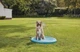 Игровой водный коврик для собак Zoofari Dog Splash Pad, 100 см - изображение 2