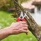 Садовый секатор FELCO 171L обводной эргономичный (Фелко 171L) - изображение 3