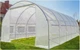 Теплиця садова 24 м² Funfit Garden (8 х 3 х 2 м) з армованою плівкою UV-4, з вікнами, Прозора - зображення 9