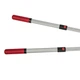 Сучкоріз телескопічний Vitals Master LS-910-01T 123171 - зображення 5
