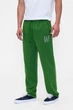 Брюки Gap 52(XL) Зеленый (132892) - изображение 1