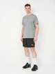 Спортивные шорты для футбола мужские Puma Teamgoal Match 70575203 S Black-White (4099685720019) - изображение 3